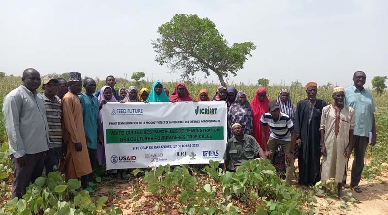 Promoting sustainable and resilient crop-livestock systems in Niger