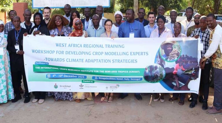 Nurturing Agricultural Resilience: Crop Modelling and Climate Strategies Unveiled at Senegal Workshop