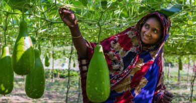 Digital innovation: integrating PlantwisePlus digital tools in Bangladesh