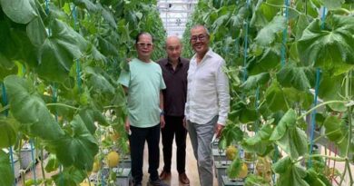 In Indonesia we grow the sweetest melons from the best seeds