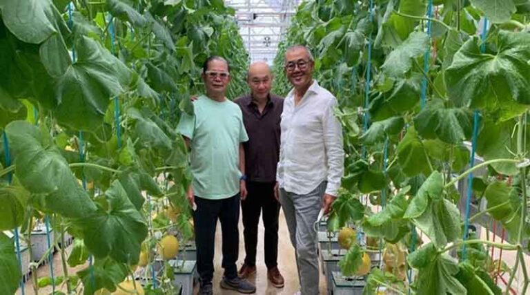 In Indonesia we grow the sweetest melons from the best seeds