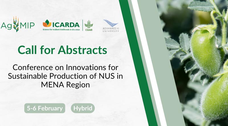 Conference on innovations for sustainable production of nus in mena region