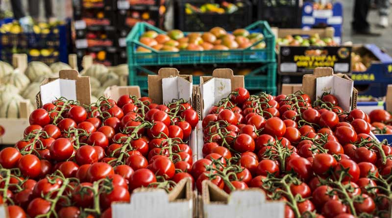 New research urges data-driven action for agriculture and food systems change