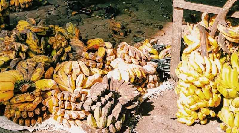 Banana Variety