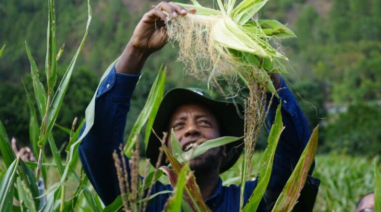 Strengthening seed systems emphasized to enhance Bhutan’s seed and food security initiatives