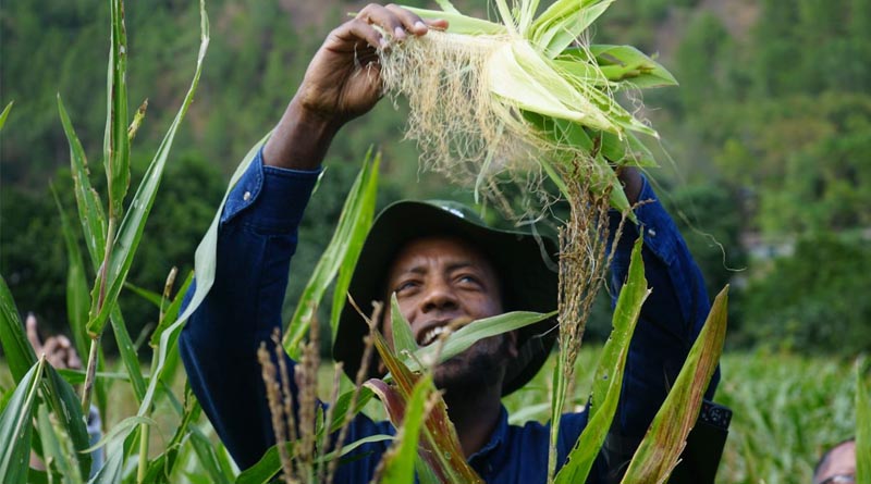 Strengthening seed systems emphasized to enhance Bhutan’s seed and food security initiatives