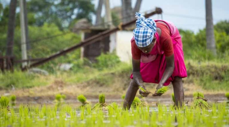 Climate change: Challenges and solutions for Indian farmers