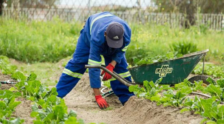 Africa needs balanced soil nutrients and water, not another fertilizer target