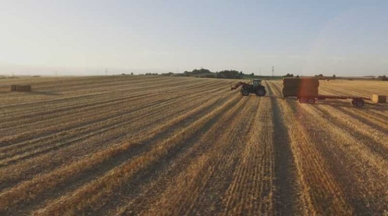 Acadian Plant Health™ And World Farmers Organisation Launch Docuseries On Farming In World Challenged By Climate Change At COP28