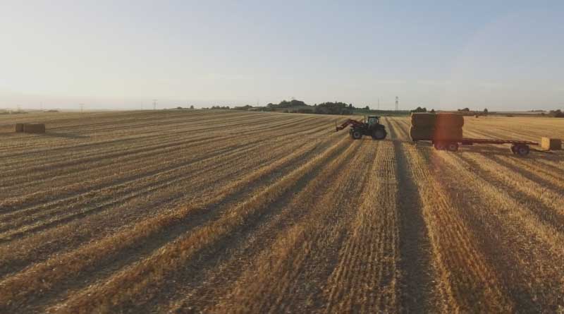 Acadian Plant Health™ And World Farmers Organisation Launch Docuseries On Farming In World Challenged By Climate Change At COP28