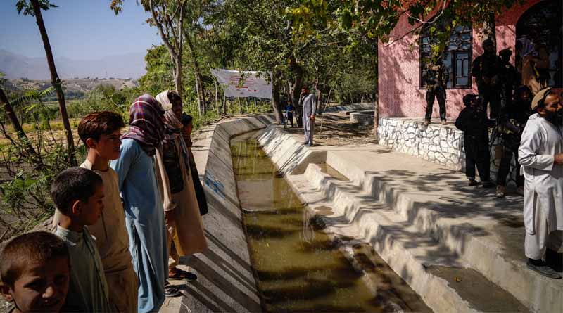 FAO requires $1.8 billion to save lives and livelihoods of 43 million people in 2024