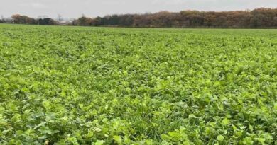 Green hydrogen policy to help convert agri-residue into assets from liability, says aman arora