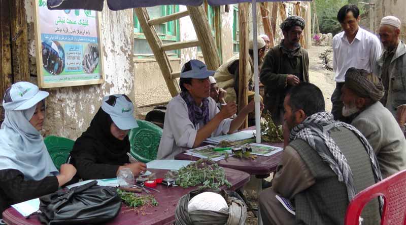 Recommendations made for plant clinic progress in Afghanistan