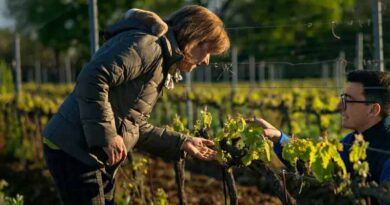Yara is acquiring the organic-based fertilizer business of Italy’s Agribios