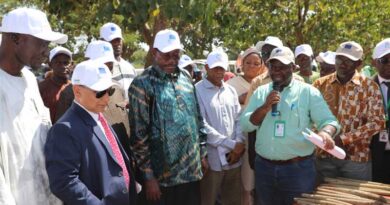 Celebrating International Year of Millets in Mali