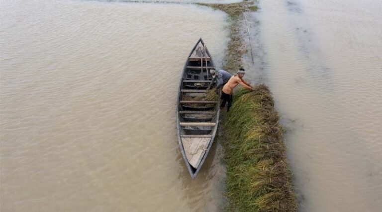 FAO report: Agrifood sector faces growing threat from climate change-induced loss and damage