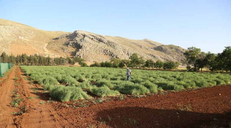 Healthy soil today, resilient world tomorrow