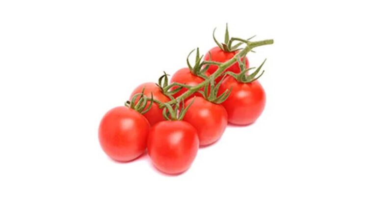 Results from our ToBRFV-resistant tomato varieties exceed expectations