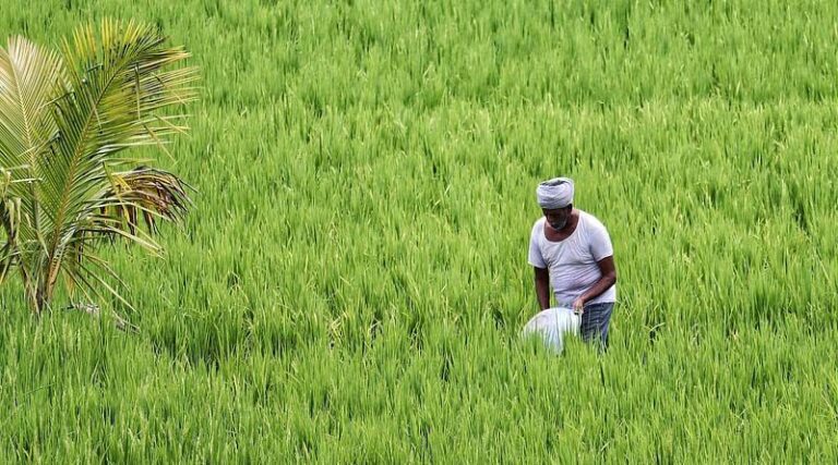 Report on Farmers’ Income