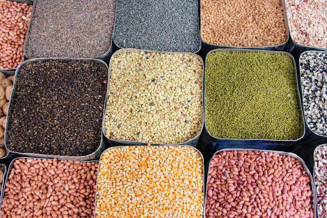 High Yielding Species of Seeds of Pulses