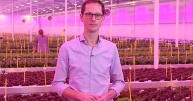Rijk Zwaan to share insights with CEA pioneers at Fruit Logistica