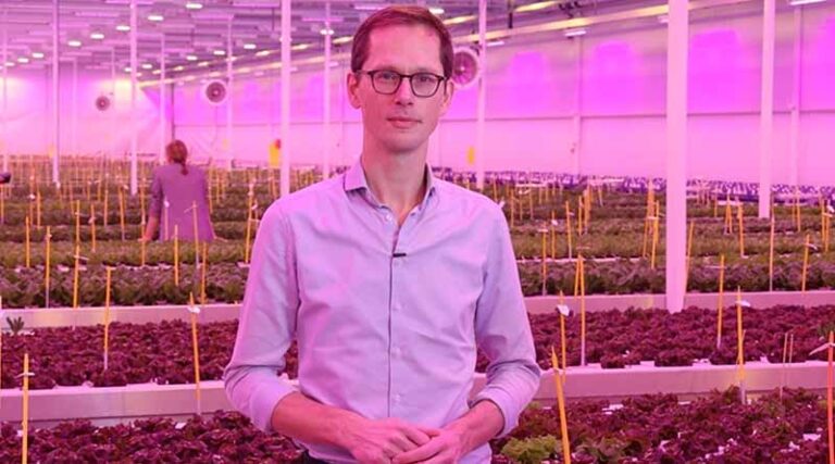 Rijk Zwaan to share insights with CEA pioneers at Fruit Logistica