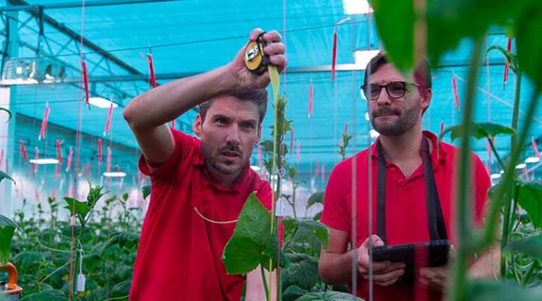 Plant measurements in our TCHT: numbers tell the tale