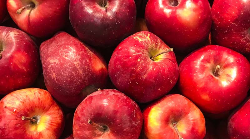 Spray schedule for the control of diseases of Apple for 2024