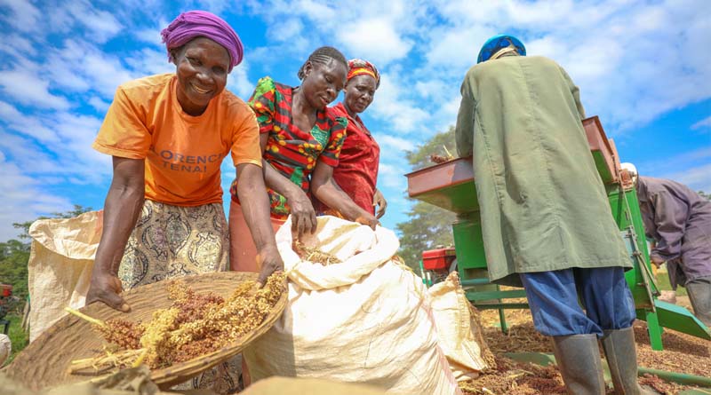 Revolutionizing Agriculture Together: India-Africa Unite for Farm Mechanization in Ludhiana