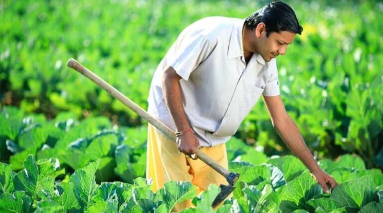 ADAMA Provides Performance Estimation for Full Year of 2023