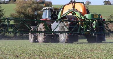 Focus now on overwintered grass weeds