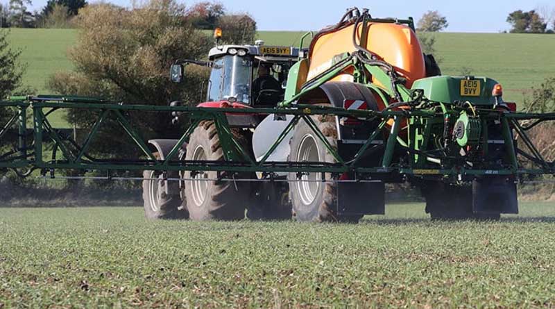 Focus now on overwintered grass weeds