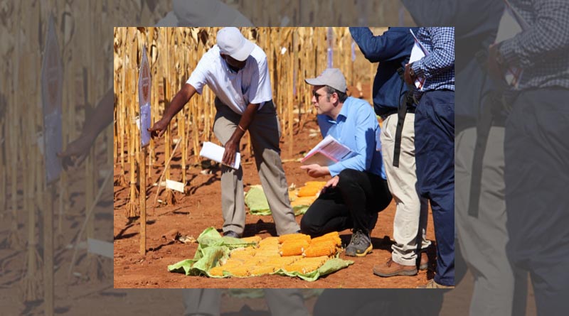 Strengthening seed systems with Zamseed