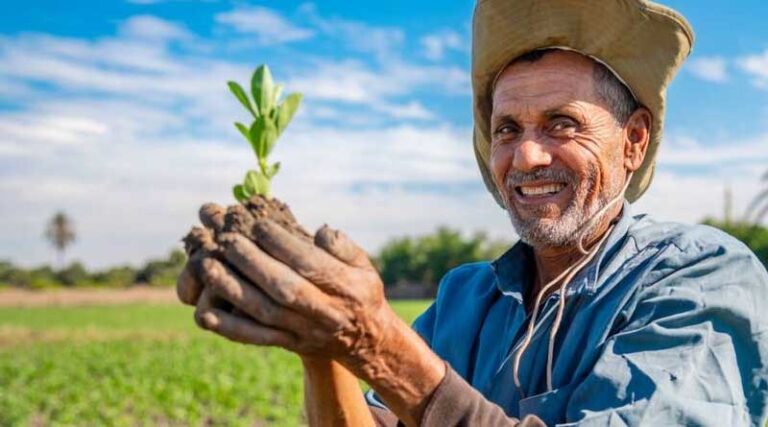 Growing food against the odds: the inashr success story