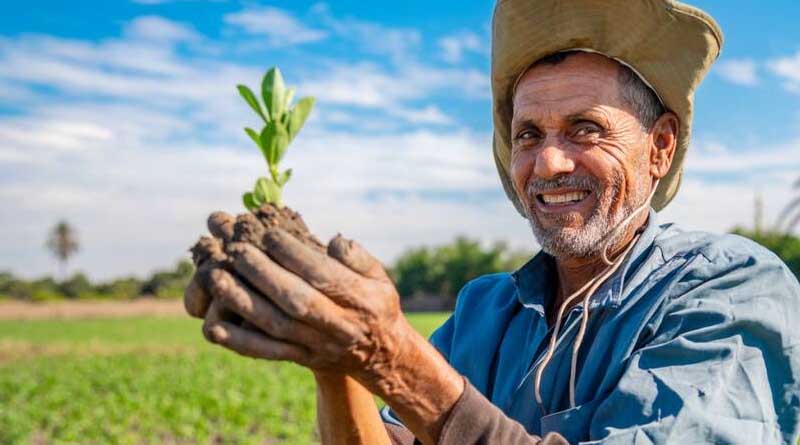 Growing food against the odds: the inashr success story