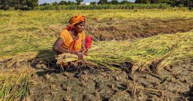 Science our best bet to fight and beat food insecurity