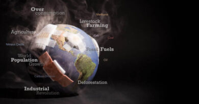 Harnessing The Power Of Biostimulants: A Key To Climate-Smart Agriculture