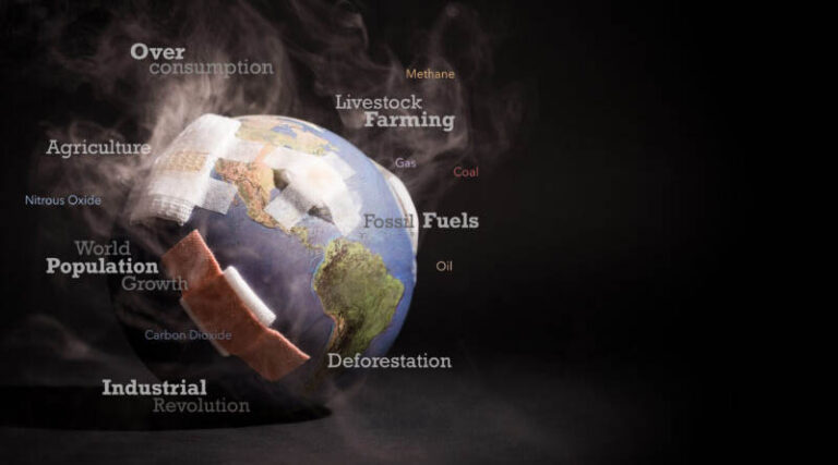 Harnessing The Power Of Biostimulants: A Key To Climate-Smart Agriculture