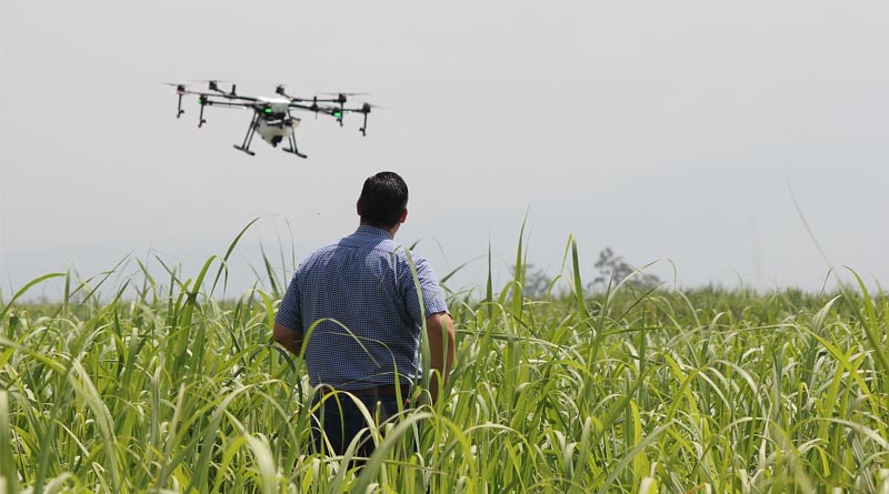 Use of ‘Drones as a Service’ for applying fertilizers and agrochemicals to see boost in 2024: Raju Kapoor, FMC India