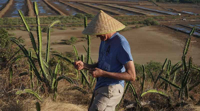 The 14th Chinese Farmers Spring Festival Gala will be held in Hubei