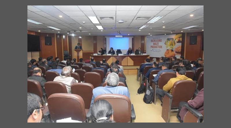 Increase maize productivity to meet demand for ethanol production: Prof. Ramesh Chand