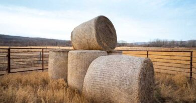 CNH invests in ecofriendly bale storage innovator Nature’s Net Wrap