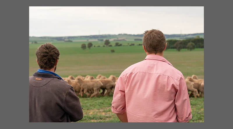 Battling summer toxins: steps to safeguard your livestock’s health