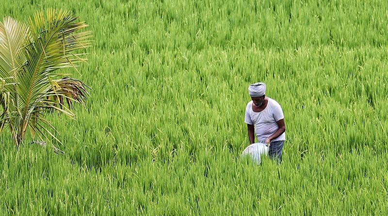 India's youth are talented and respected around the world says Haryana Agriculture Minister J P Dalal