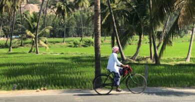 Opinion Paper Raises Concerns Over Claims Made by Indian Farmers Fertilizer Cooperative (IFFCO) for Nano Urea