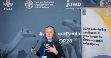 CIMMYT joins global efforts to curb greenhouse emissions and strengthen food systems