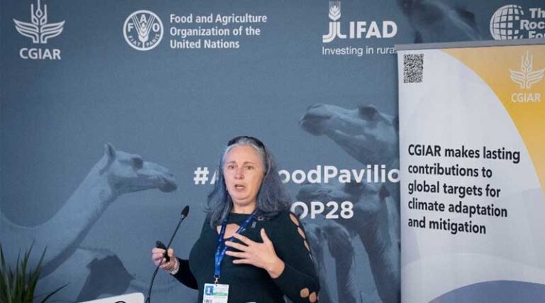 CIMMYT joins global efforts to curb greenhouse emissions and strengthen food systems