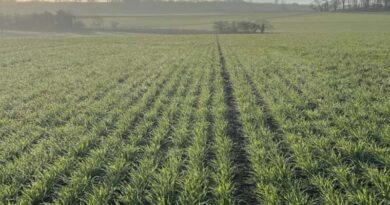 Seed treatments are vital to help get your crop off to the best start