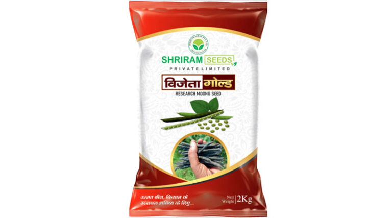 Vijeta Gold High Yielding Moong Variety