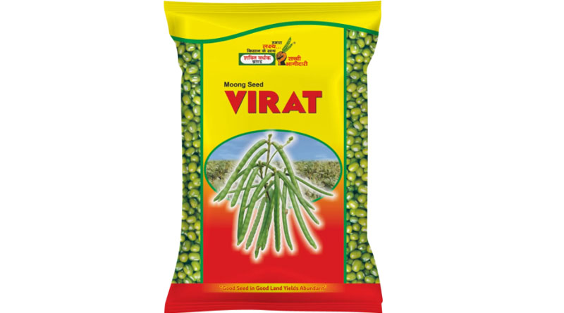 Virat Moong Variety from Shakti Vardhak Hybrid Seeds